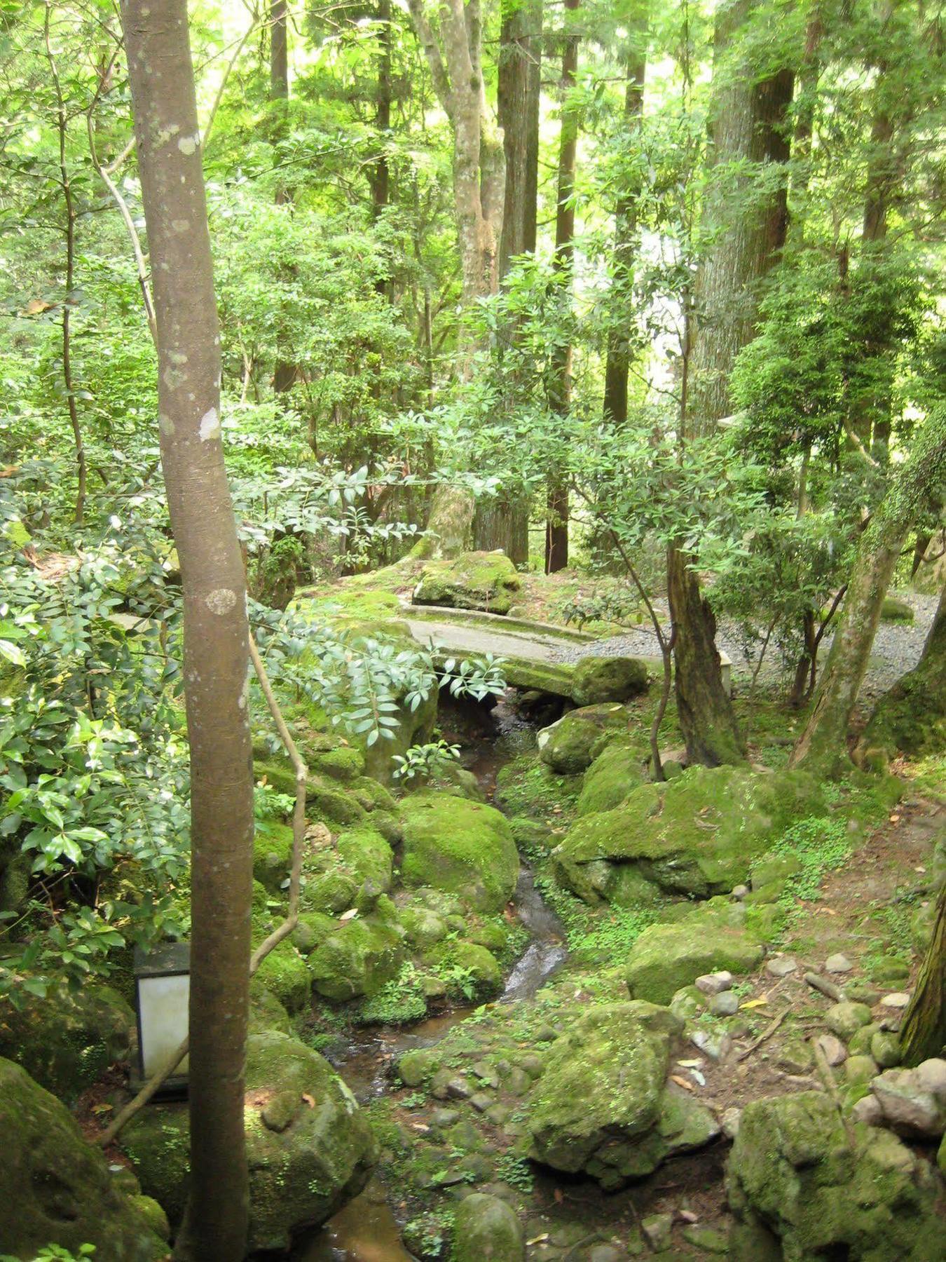 Tsukihitei Hotel Nara Buitenkant foto